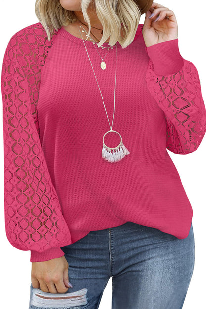 Strawberry Pink Eyelet Raglan Sleeve Drop Shoulder Plus Size Top