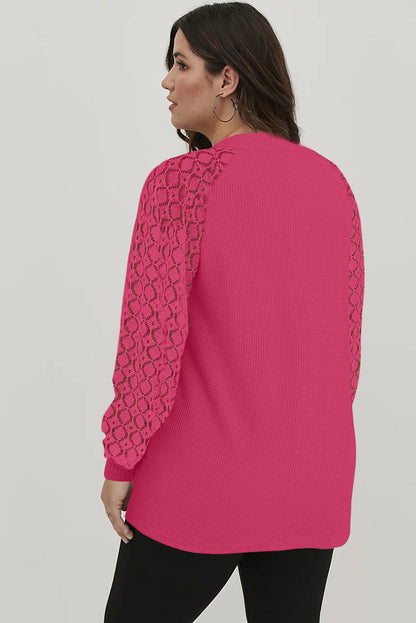 Strawberry Pink Eyelet Raglan Sleeve Drop Shoulder Plus Size Top