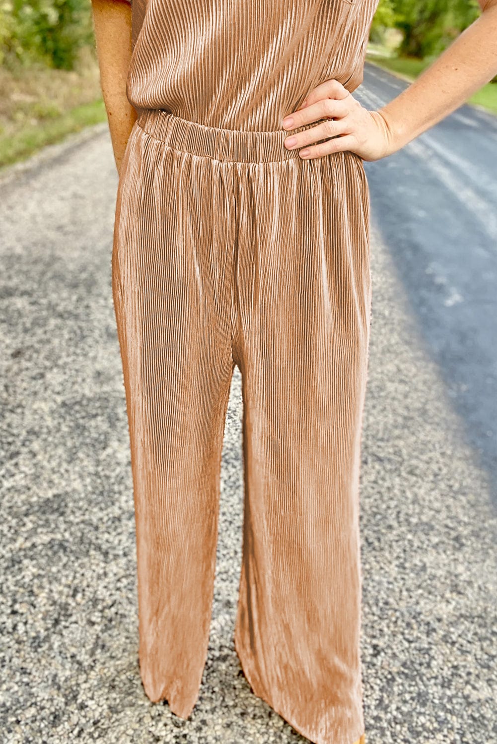 Chic Clay Pleated Two-Piece Pant Set with Puff Sleeve Tee