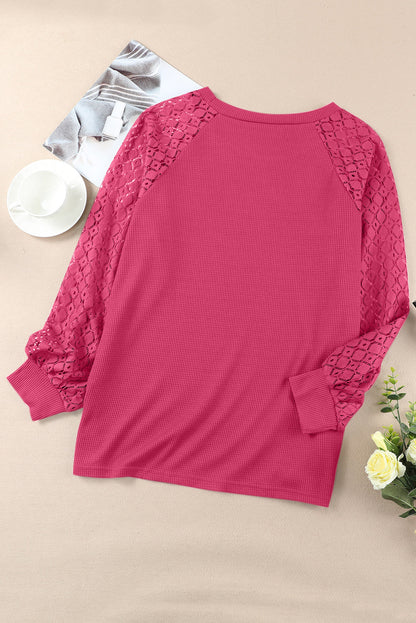 Strawberry Pink Eyelet Raglan Sleeve Drop Shoulder Plus Size Top