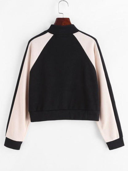 Half Zip Butterfly Colorblock Sweatshirt