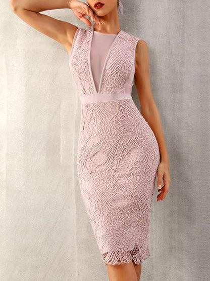 Mesh Insert Guipure Lace Overlay Bodycon Dress - LuckyFash™