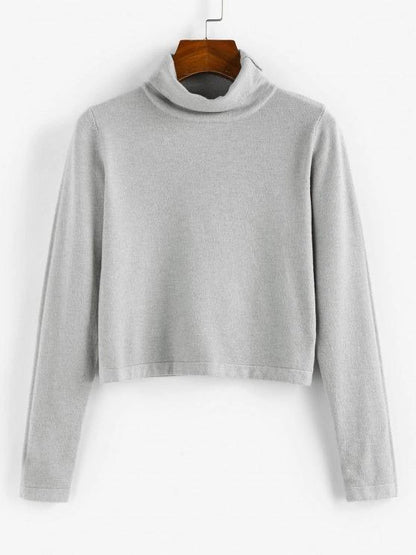 Turtleneck Plain Crop Knitwear for Women