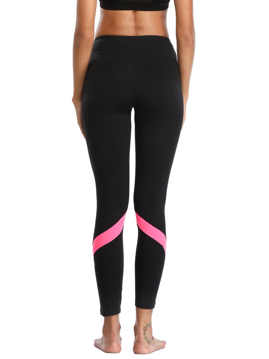 Women's ELITE Escape AmFIB Cycling Tight - LuckyFash™