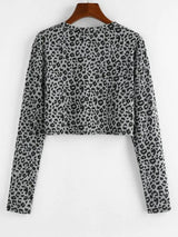 Leopard Print Cropped Tee - INS | Online Fashion Free Shipping Clothing, Dresses, Tops, Shoes