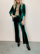 Women's Blazers Lapel Velvet OL Slim Long Sleeve Blazer - Blazers - Instastyled | Online Fashion Free Shipping Clothing, Dresses, Tops, Shoes - 22/12/2021 - 40-50 - Blazers