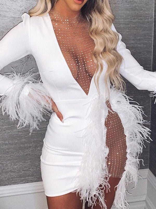 Women's Dresses Mesh Panel Feather Long Sleeve Slim Fit Dress - MsDressly