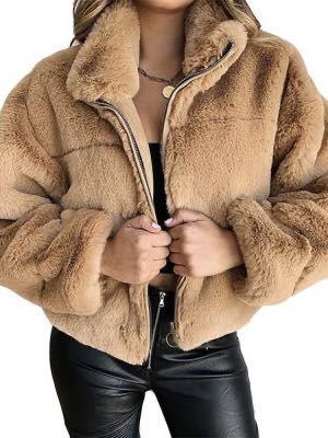 Women's Short Fur Coat - INS | Online Fashion Free Shipping Clothing, Dresses, Tops, Shoes